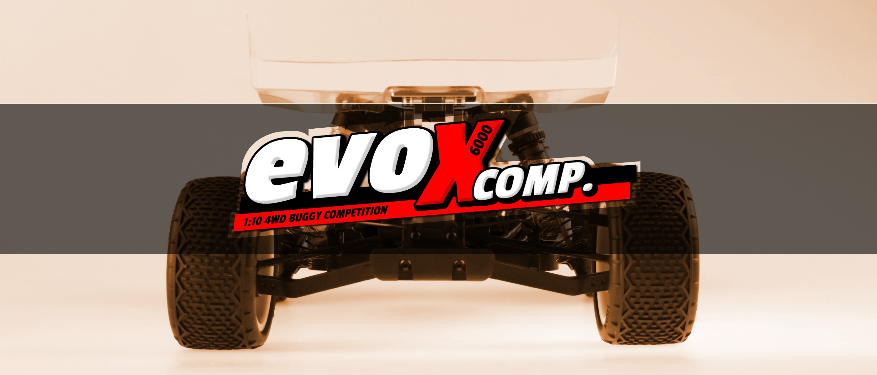 evoX6000 competition Buggy von Amewi